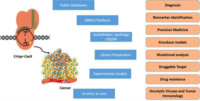 Revitalizing oral cancer research: Crispr-Cas9 technology the promise of genetic editing